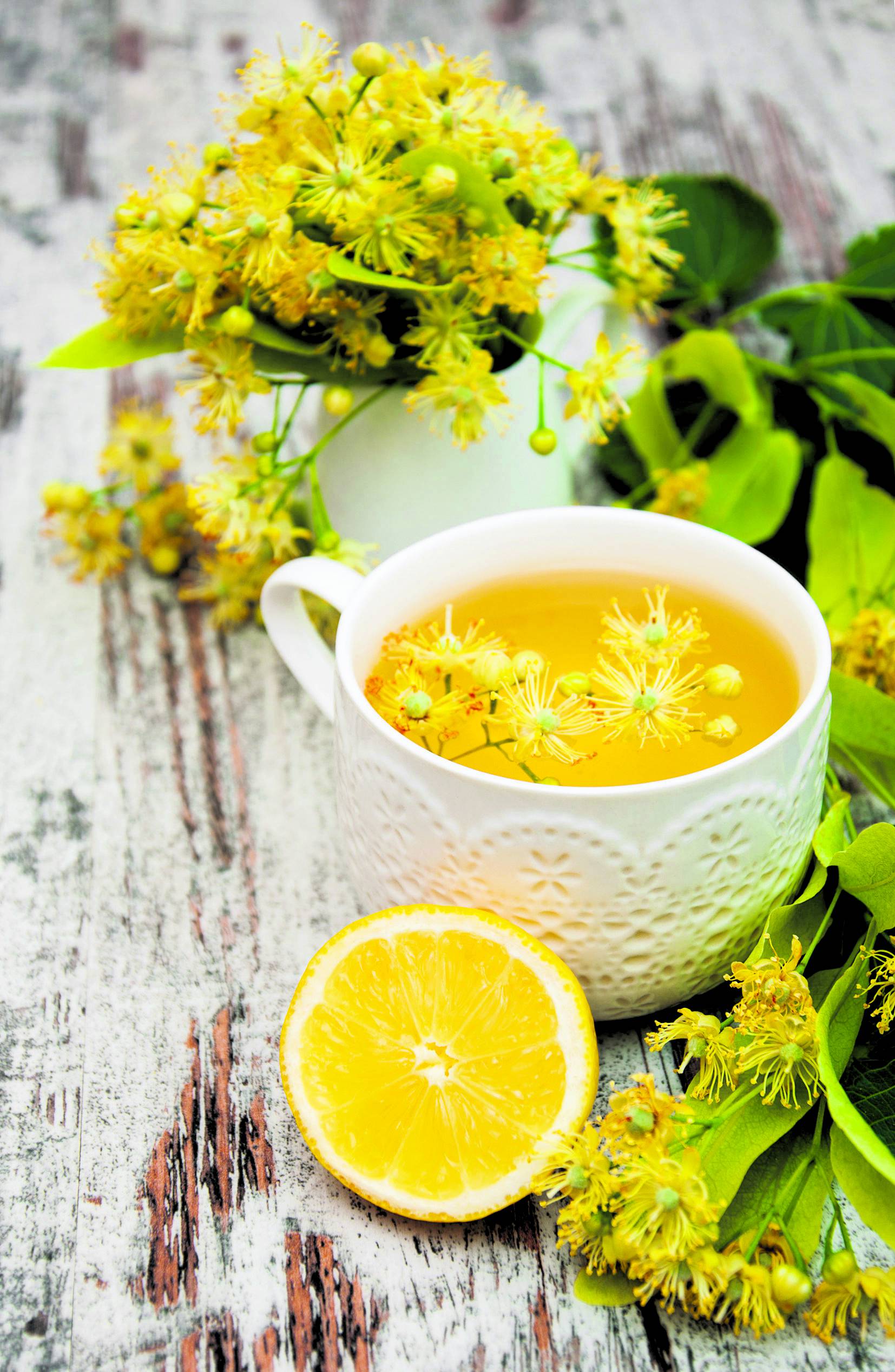Lipov čaj je jako zdrav - liječi prehladu, tlak, grčeve, reumu...