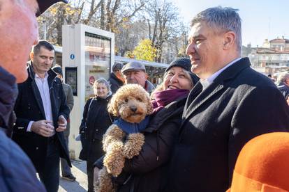 GALERIJA Psi, intimni prostor, akcija i čvarci: Evo što ovih dana rade predsjednički kandidati...