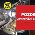 Nesreća kod Daruvara: Jelen mu je proletio kroz šajbu! Udario ga automobil iz suprotnog smjera