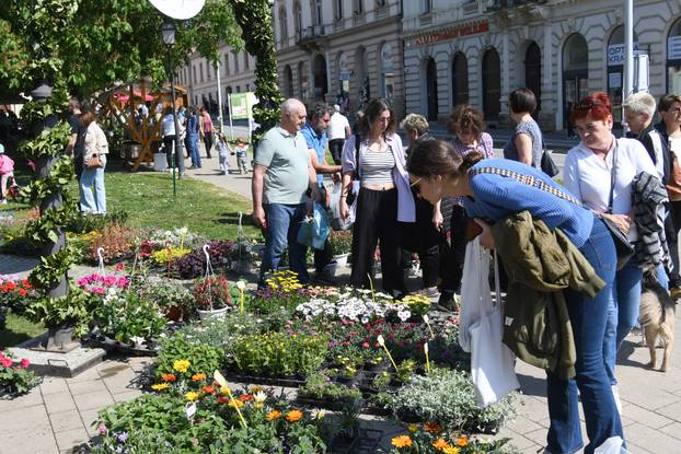 Obilježavanje Dana grada Križevaca uljepšano je cvjetnom manifestacijom "Križevci u cvijeću"