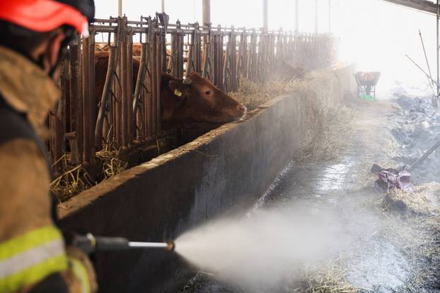 A firefighter works at a partially burnt down cattle farm after a wildfire devastated the area, in Uiseong