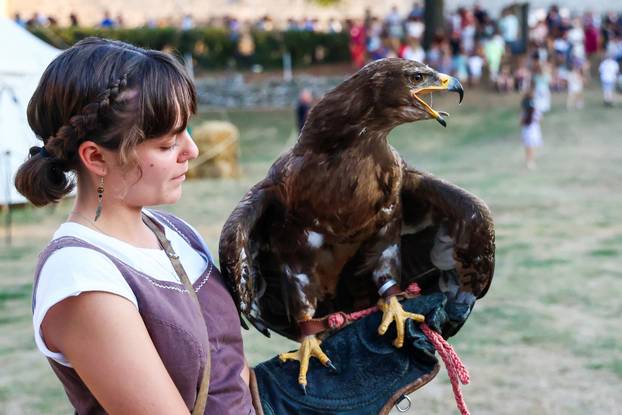 Počeo 14. Srednjovjekovni festival u Svetvincentu