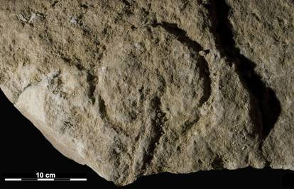 Crteži stari 37.0000 godina prikazuju ženski spolni organ