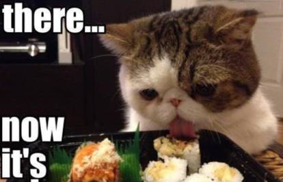 Pametna maca je naučila kako prisvojiti hranu sa stola