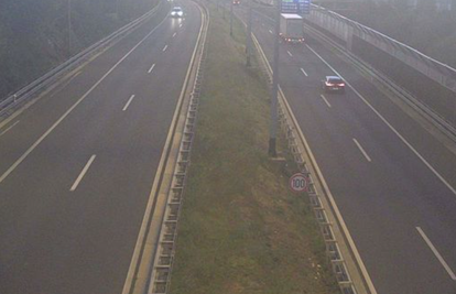 Vozači oprez: Srna na A7 kod Rijeke, vozi se 60 km/h