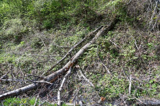 Zagreb: Tri tjedna nakon razorne oluje na Sljemenu i dalje vidljive posljedice 