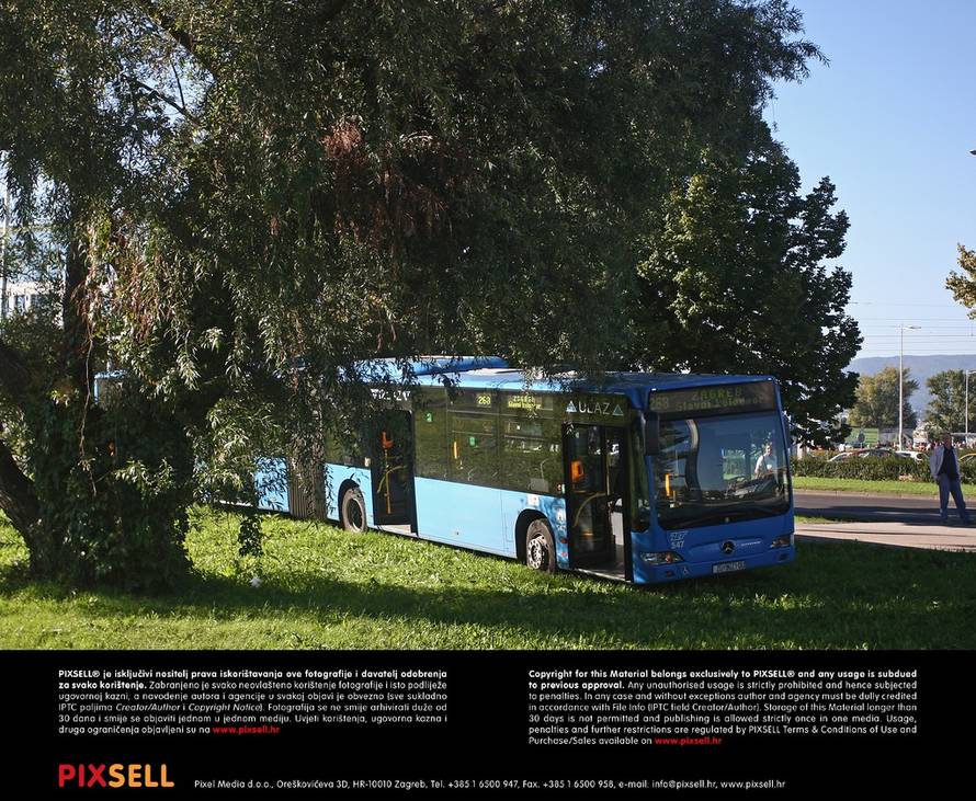 Borna Filić/PIXSELL