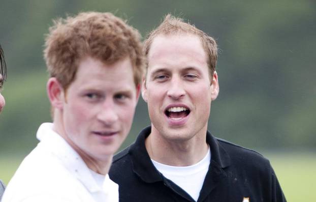 Princes at charity polo match