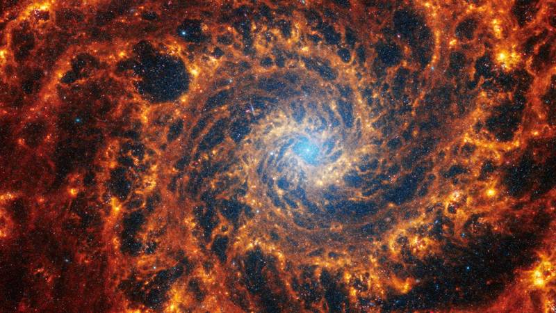 2024 12 09t175126z 548348539 rc21b5a7fve3 rtrmadp 3 space exploration universe