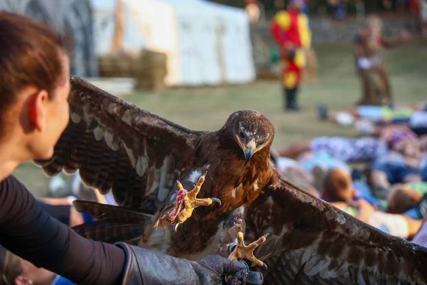 Počeo 14. Srednjovjekovni festival u Svetvincentu