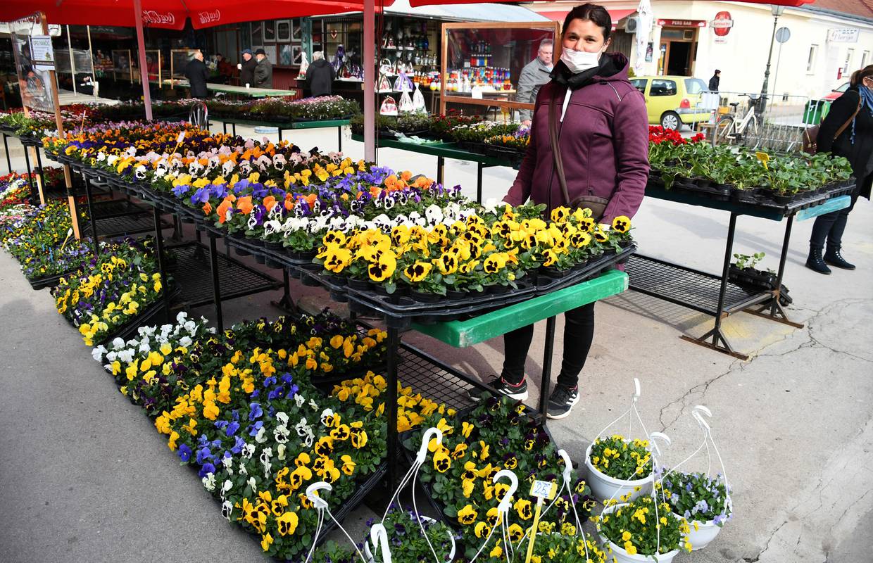 Obitelj Ivančić uzgaja cvijeće: 'Jaglace prodajemo po 5 kuna'