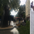 VIDEO Nevrijeme u gradu Krku: 'Stara jezgra je poplavljena, a palo je i drvo, skoro na ljude!'