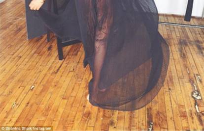Shaik bez donjeg rublja: Ispod  prozirne haljine ne nosi ništa