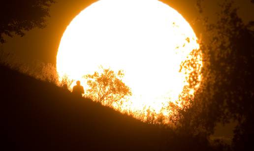 Australski znanstvenici: Očekuje li nas 'apokalipsa insekata' zbog klimatskih promjena?