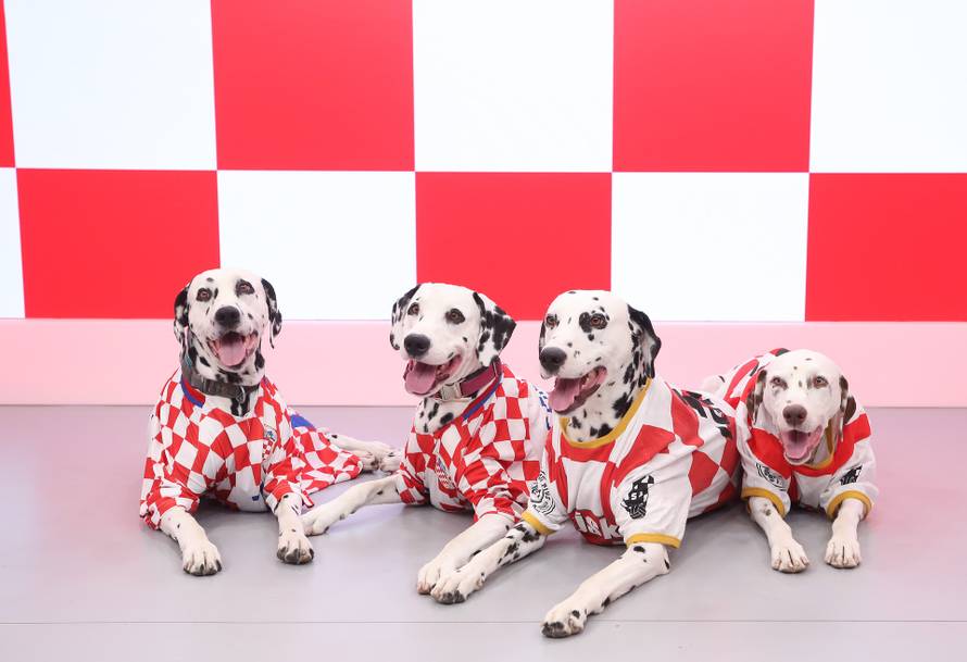 Zagreb: Četiri psa u hrvatskim dresovima