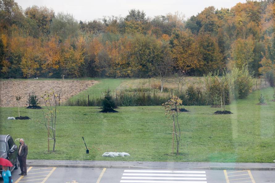 Zagreb: Oko crkve BDM Anđeoske u Dubravi zasađeno je 250 mladih stabala