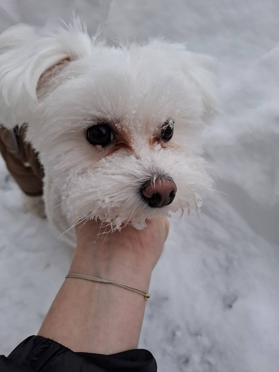 Općinska komunalka sama 'izlopatala' snijeg sa staze: 'Nema nikakve drame u tome'