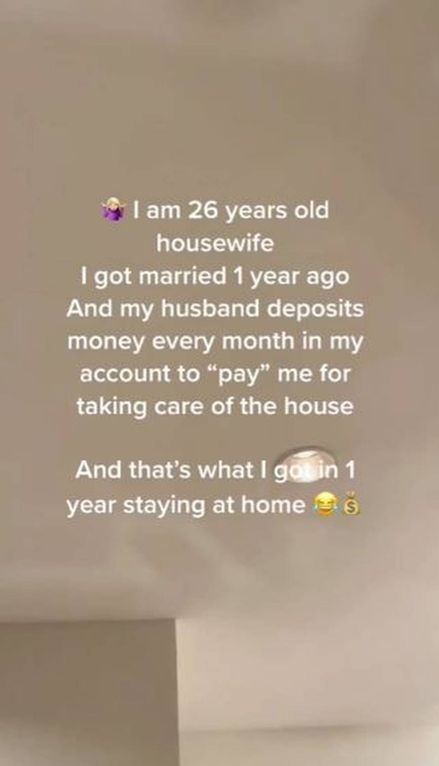 Muž mi plaća svaki mjesec jer vodim kućanstvo, zaradila sam 1,2 milijuna kn u jednoj godini