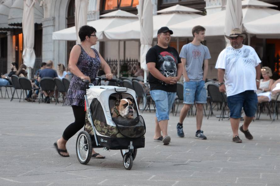 Turisti poveli buldoga u šetnju Pulom u - dječjim kolicima