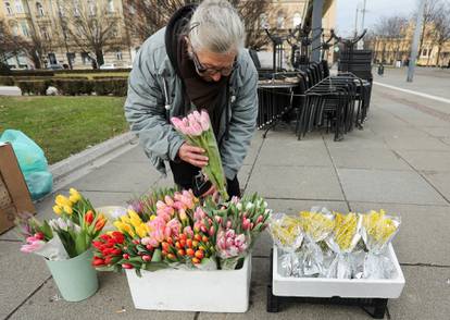 Mirisi proljeća: U Zagrebu na ulici prodaju tulipane i mimoze