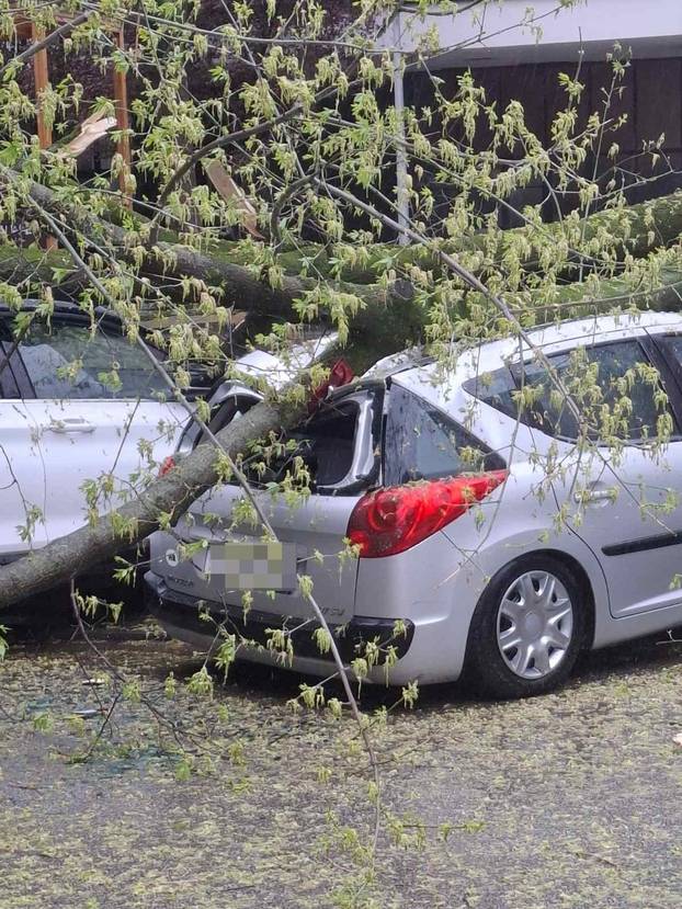 FOTO Apokalipsa u Zagrebu: Stabla drobila automobile, izdano novo upozorenje!