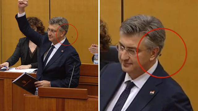 VIDEO Muha oko premijerskog uha: Plenković pobjednički diže ruku, muha se zabija u njega...
