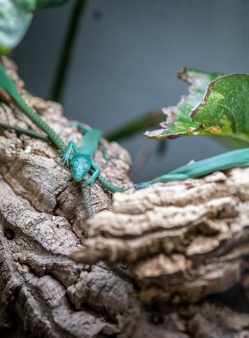 24sata Zagreb: Rodili&scaron;te u Zoolo&scaron;kom vrtu