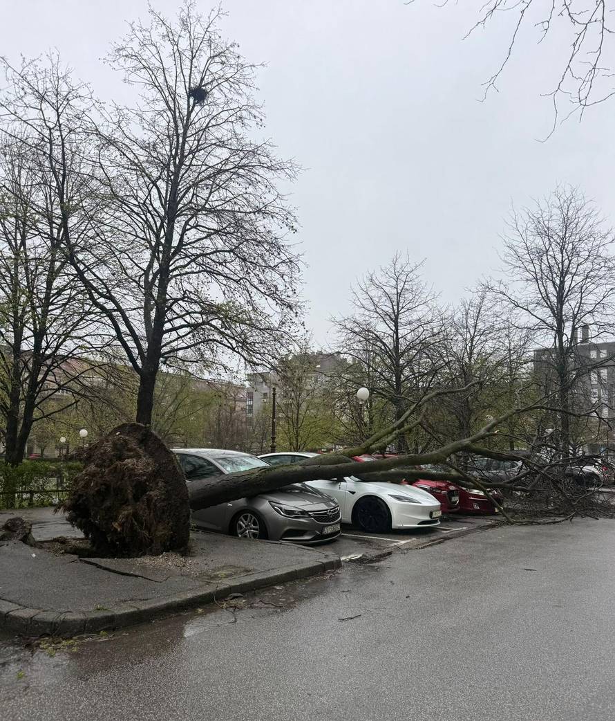 Evo koliko su vatrogasci imali intervencija zbog oluje