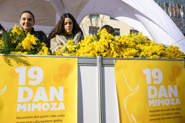 Zagreb: 19. Dan mimoza obilježen na Cvjetnom trgu