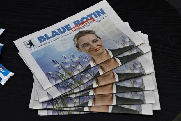 Central election campaign event of the AfD in Halle (Saale)