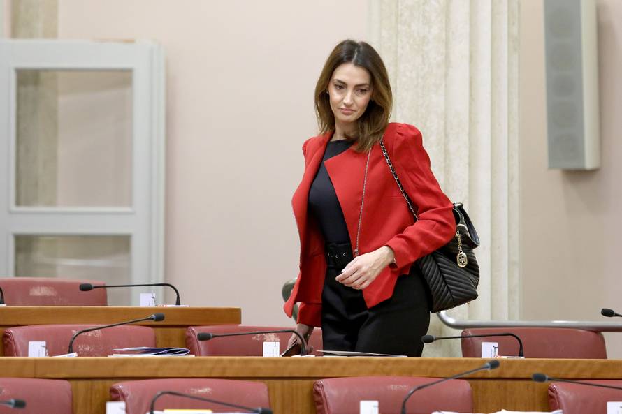 Zastupnice sa stilom: One su unijele boje i živost u Sabor