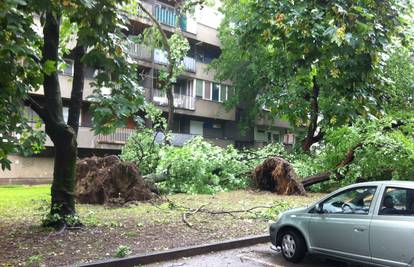 Puknuo asfalt: Jutros otvorena Vončinina ulica, sanirana šteta