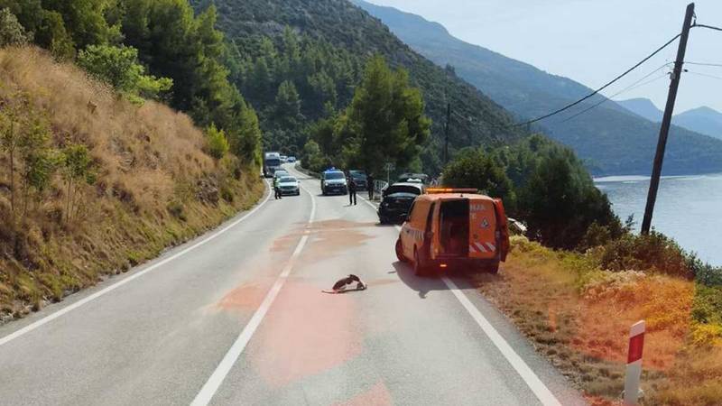 Vozač zaspao za volanom, dvoje djece teško ozlijeđeno u nesreći kod Dubrovnika! U bolnici su...
