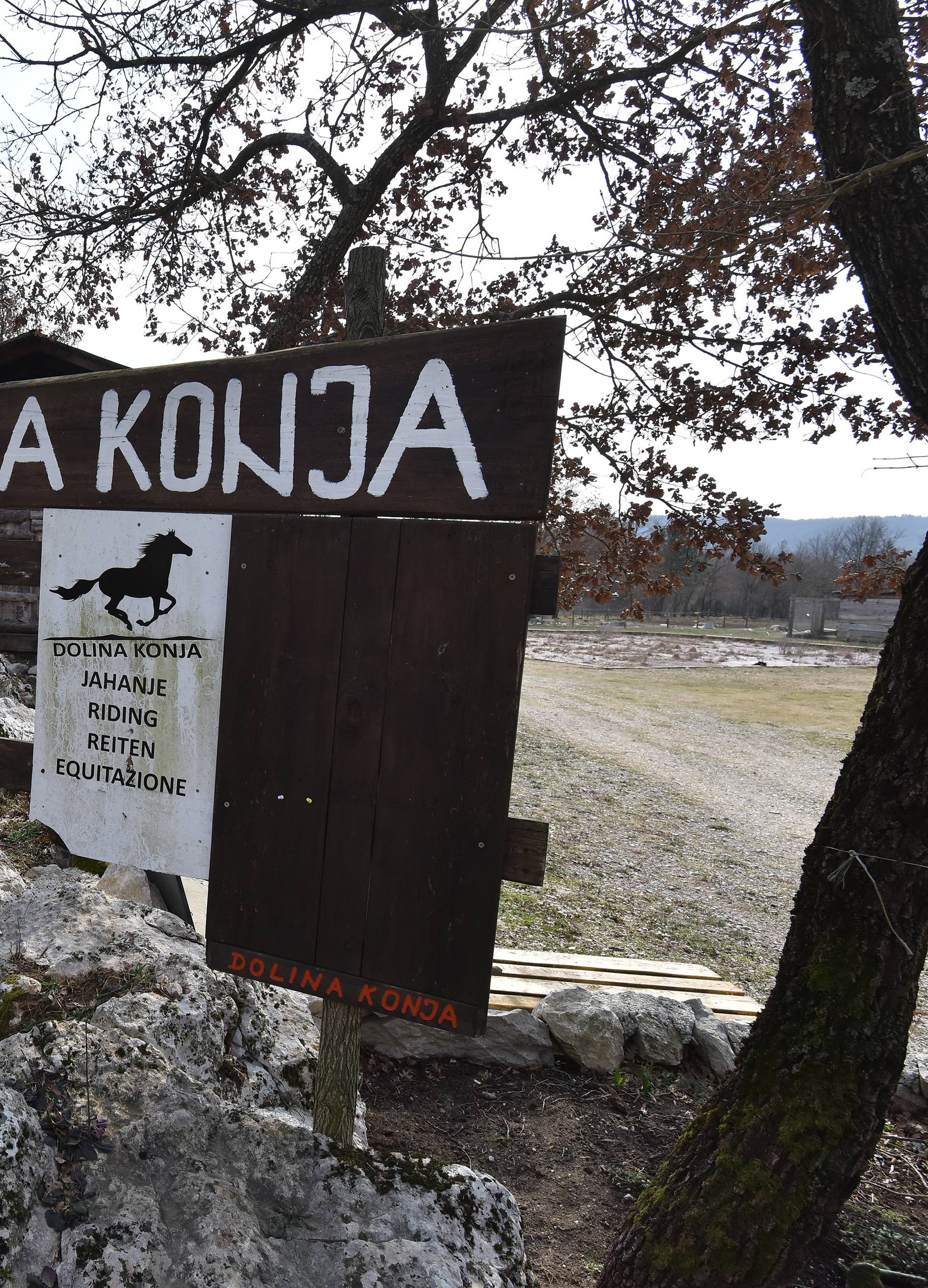 Vlasnica im poginula: 'Plačem kada vidim kako žive ovi konji'