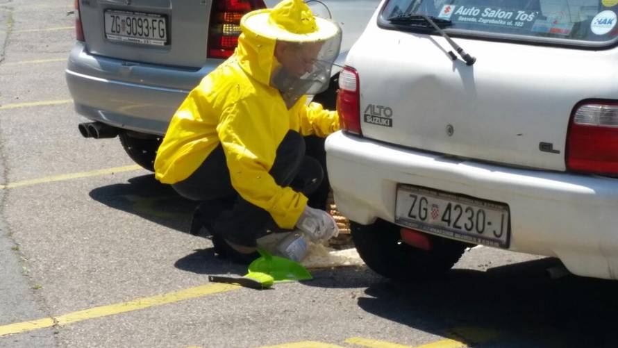 Pa se ti vozi: Veliki roj pčela 'zaposjeo auto', stigla i policija