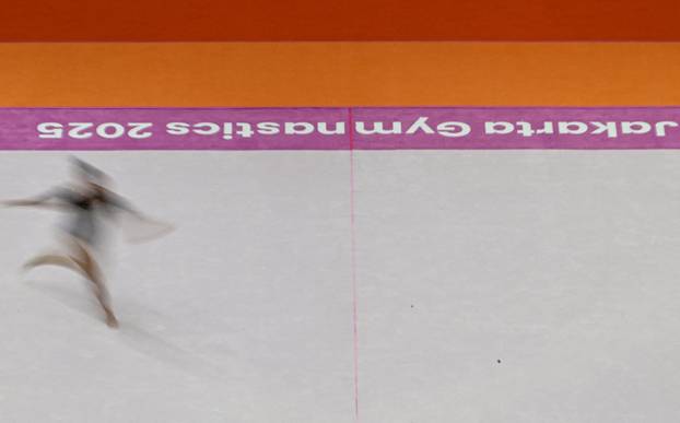 2025 World Artistic Gymnastics Championships
