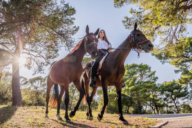 Split: Konji u Park šumi Marjan