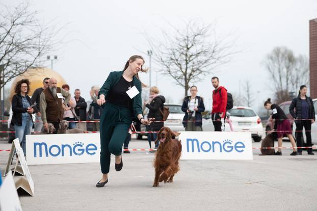 U Zaprešiću održana CAC nacionalna izložba pasa