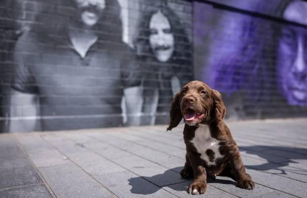 FOTO Ovo je preslatki policijski pas Ozzy, nazvan po Osbourneu. Birmingham oplakuje legendu