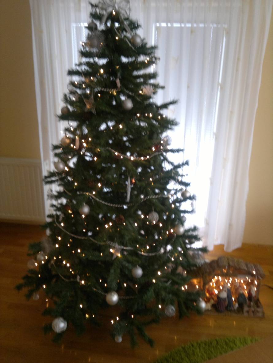 Šaljite fotografije božićnih jelki i osvojite vrijednu nagradu...