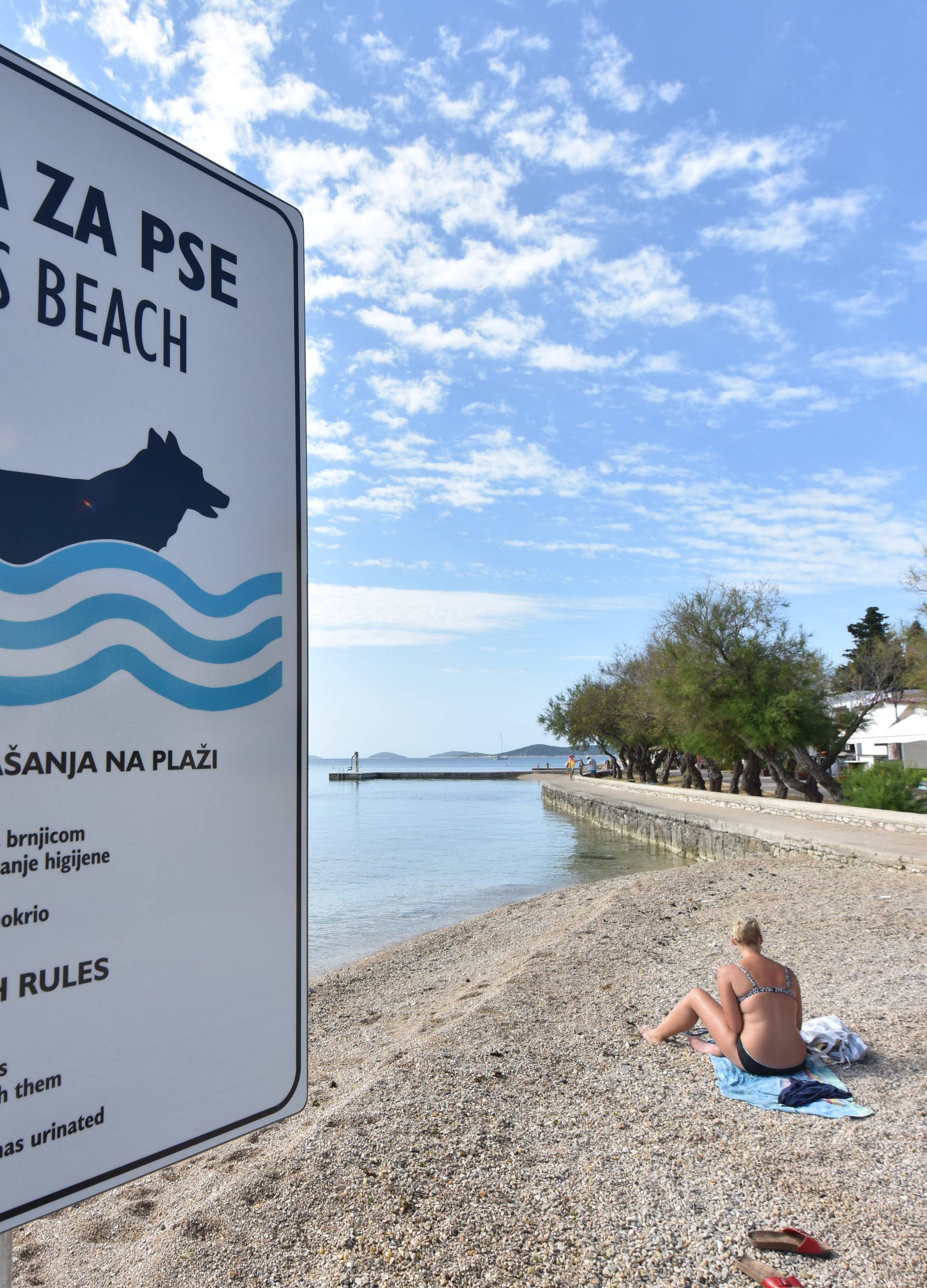 Vrijeme je za kupanje: Ovo su plaže na kojima su psi poželjni