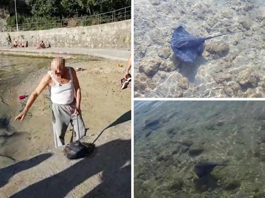 Zalutala u plićak: Divili smo se raži, a onda je vidjeli ubijenu...