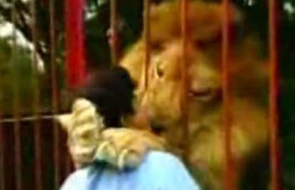 Lav u zatočeništvu naučio grliti i ljubiti ljude
