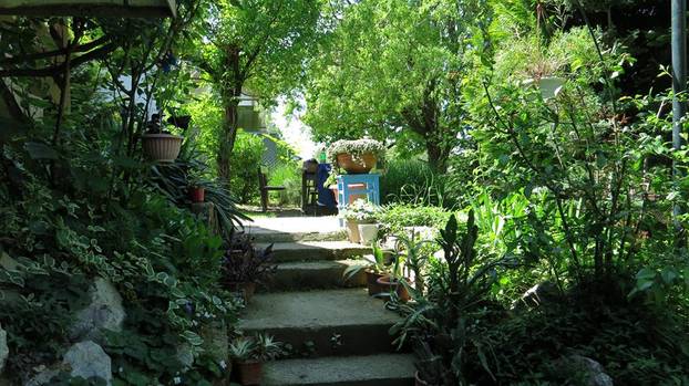 FOTO Najljepša dvorišta i kućni vrtovi - pronađite inspiraciju za vlastitu biljnu oazu