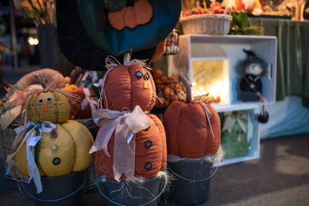 Održana 21. Bučijada i Sajam bučina ulja u Ivanić-Gradu