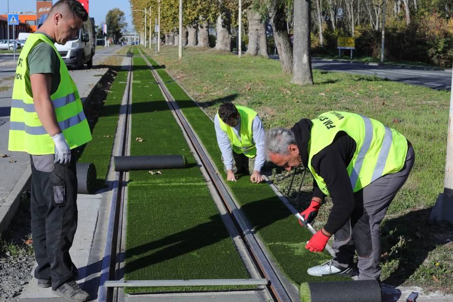 Postavljanje dekorativne zelene podloge na tramvajskoj pruzi u Osijeku