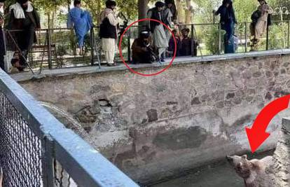 Pojavila se fotografija na kojoj taliban navodno puškom cilja medvjeda u kabulskom ZOO-u