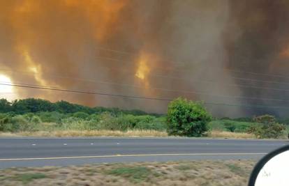 Evakuirali tisuće ljudi zbog šumskog požara na Havajima