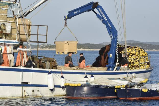 Tribunj: Unatoč visokim cijenama plavoga dizela ribari obavljaju svoje zadatke