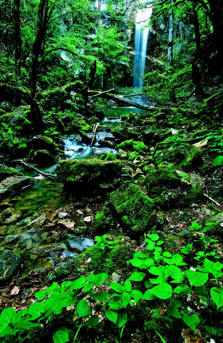 Arhiva Klastera Sjeverozapadne Istre